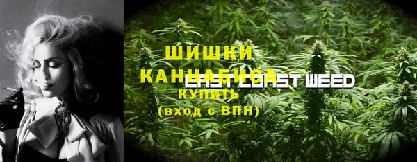 герыч Дубна