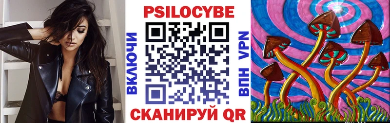 Купить где  Белебей  Псилоцибиновые грибы Psilocybine cubensis 