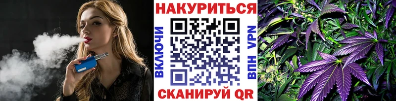 Купить где  Белебей  Бошки Шишки SATIVA & INDICA 